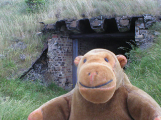 Mr Monkey outside a military tunnel