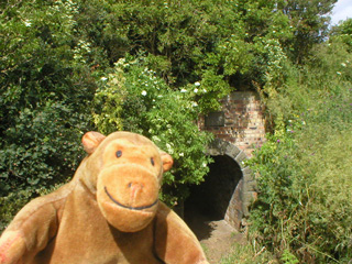 Mr Monkey outside the other end of the tunnel