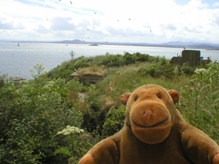 Mr Monkey looking some pillboxes