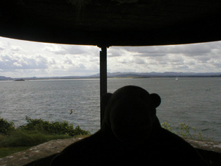 Mr Monkey looking out from a seachlight position