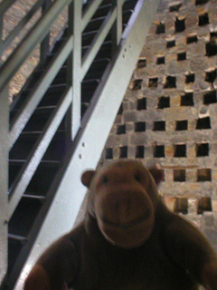 Mr Monkey beside the stairs in the tower