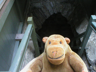 Mr Monkey at the top of the stairs to the roof