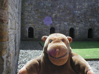 Mr Monkey running around the cloister