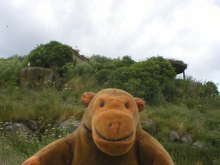 Mr Monkey looking up at old military installations near the quay