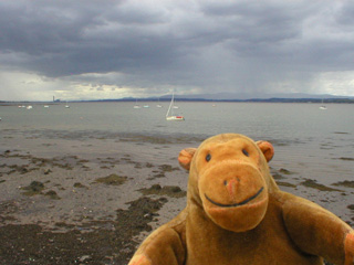 Mr Monkey looking at the Forth at Blackness