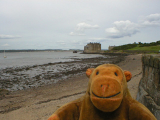 Mr Monkey looking towards Blackness Castle