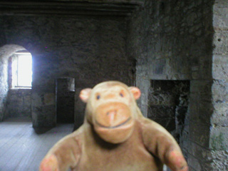 Mr Monkey in one of the large rooms in the Central Tower