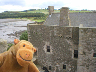 Mr Monkey looking down on the South Tower