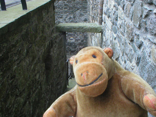 Mr Monkey going down the stairs in the Spur