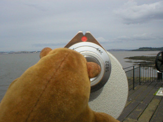 Mr Monkey looking through a coin in the slot telescope