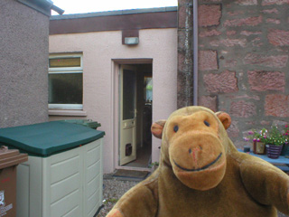Mr Monkey at the back of Miss Helen's house