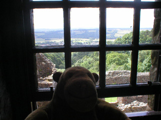 Mr Monkey looking out from a second floor window
