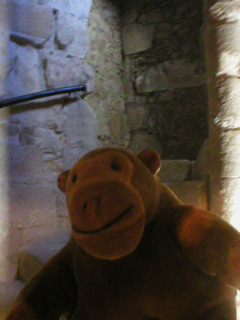 Mr Monkey on the spiral staircase