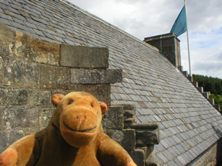 Mr Monkey looking at the roof of the tower