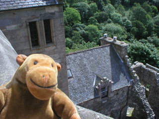 Mr Monkey looking down on the roof of the east range
