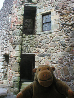 Mr Monkey looking at the side of the east range