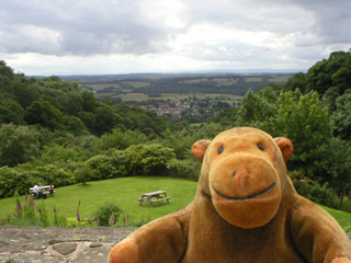 Mr Monkey looking south to Dollar