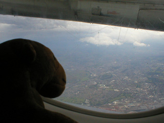 Mr Monkey looking down on North Berwick