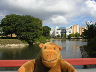 Mr Monkey looking from the Slottsbron