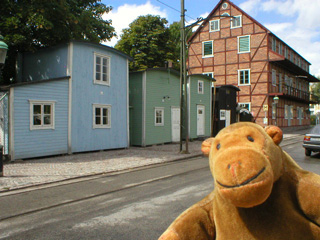 Mr Monkey looking at fishermen's huts