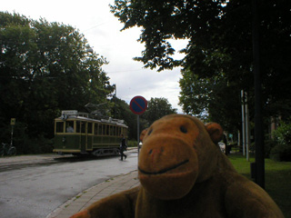 Mr Monkey watching a vintage tram