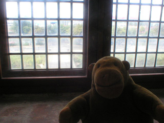 Mr Monkey looking out of a window in the Hall of the Nobility
