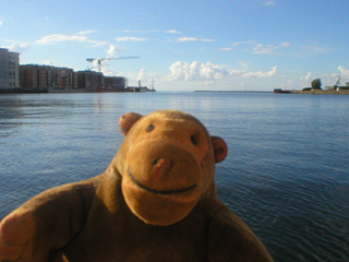 Mr Monkey looking out towards the sea