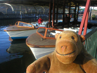 Mr Monkey walking away from the Rundan boats