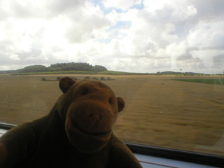 Mr Monkey looking out of the train on the way to Ystad