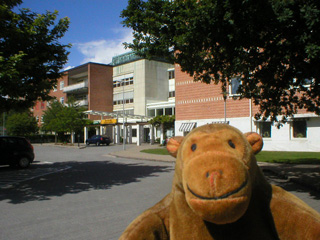 Mr Monkey looking towards the main hospital building