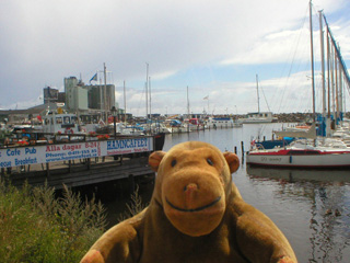 Mr Monkey looking from the marina towards the docks