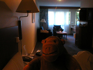 Mr Monkey in his hotel room