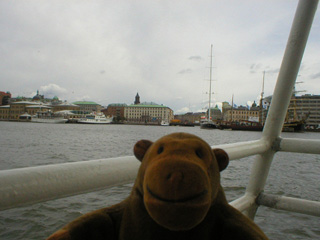 Mr Monkey watching 