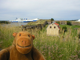 Mr Monkey looking down from the ramparts