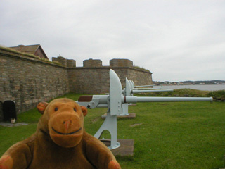 Mr Monkey examining guns on the Rosalind ravelin