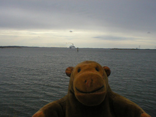 Mr Monkey looking out to sea