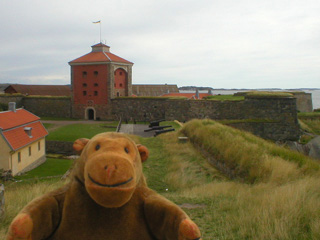 Mr Monkey looking at ships under repair in a floating dock