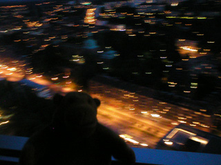 Mr Monkey looking down from the Liseberg Tower