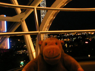 Mr Monkey looking from the Liseberg ferris wheel