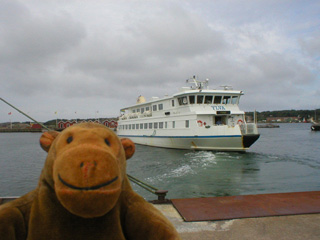 Mr Monkey watching his ferry leave Donsö