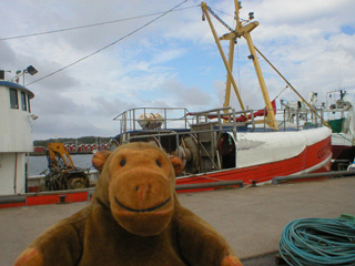 Mr Monkey looking at a trawler in Donsö harbour