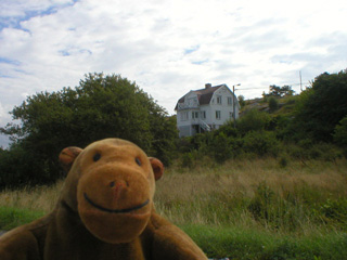Mr Monkey looking at a wooden house