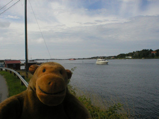 Mr Monkey watching a boat in the channel