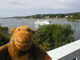 Mr Monkey looking towards Styrsö Skäret from the Donsö bridge