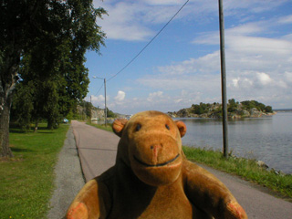 Mr Monkey looking up the road to Bratten