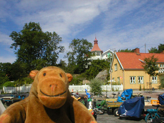 Mr Monkey looking around Bratten