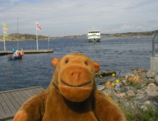 Mr Monkey watching a ferry approach the quay at Tången