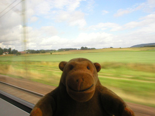 Mr Monkey passing a Swedish field