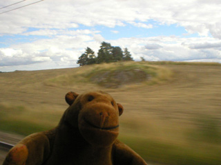 Mr Monkey passing a rocky outcrop in a field