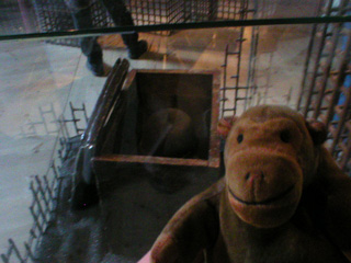 Mr Monkey in front of a case of artefacts from the Vasa